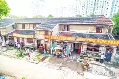 麻豆社