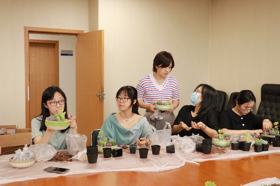 麻豆社