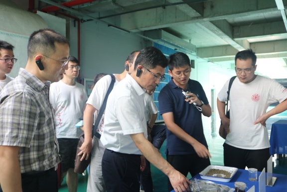麻豆社