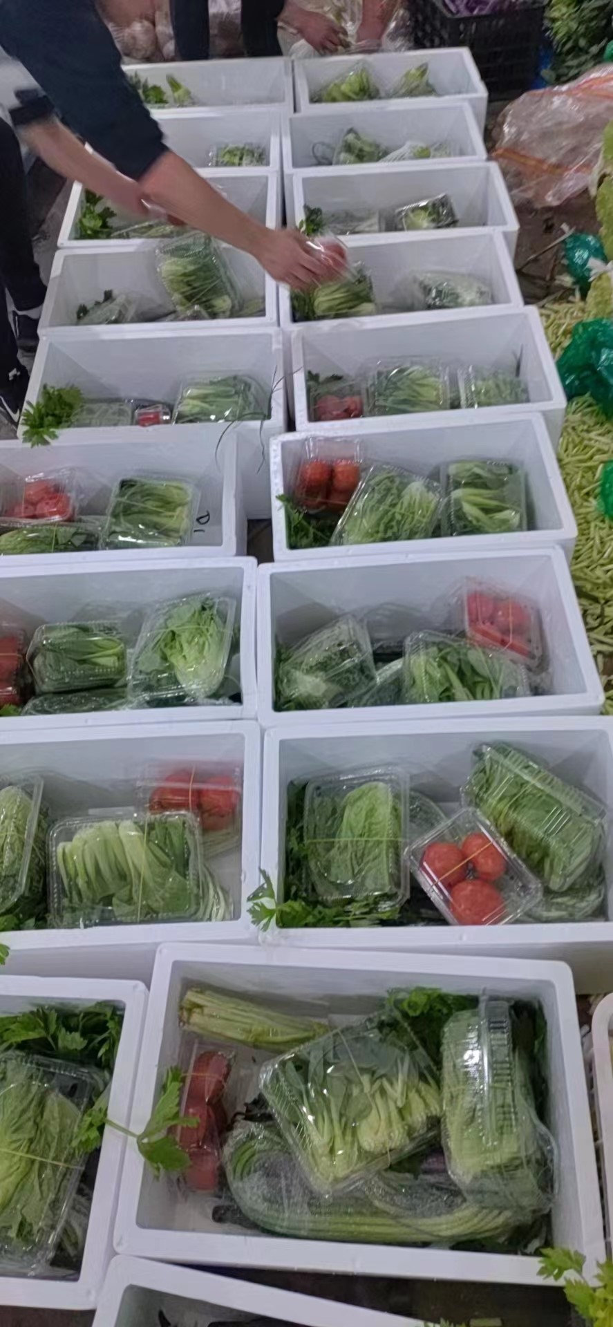 麻豆社