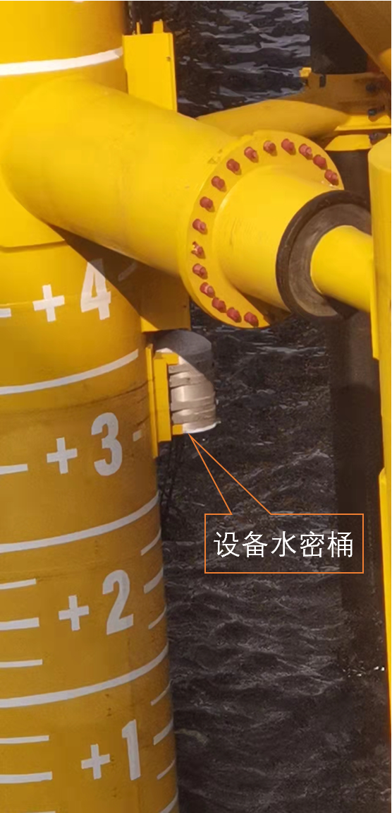 麻豆社